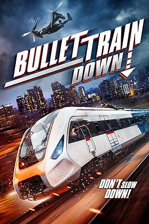 Bullet Train Down (2022) Hindi Dubbed poster