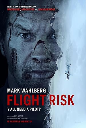Flight Risk (2025) Hindi Dubbed poster