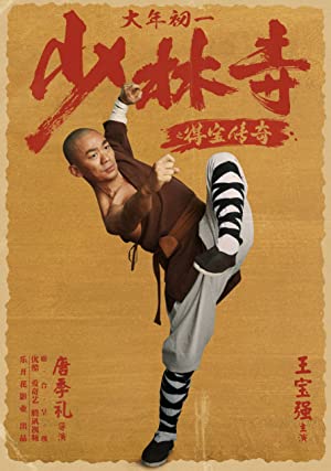 Rising Shaolin The Protector (2021) Hindi Dubbed poster