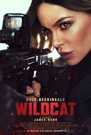 Wildcat (2025) Hindi Dubbed poster